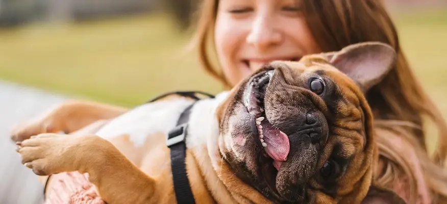 pets for stress and anxiety relief