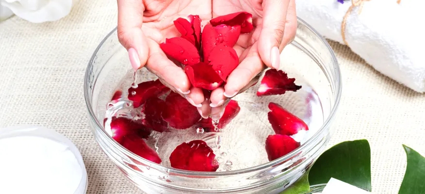 Rose Water For Oily Skin And Its Uses