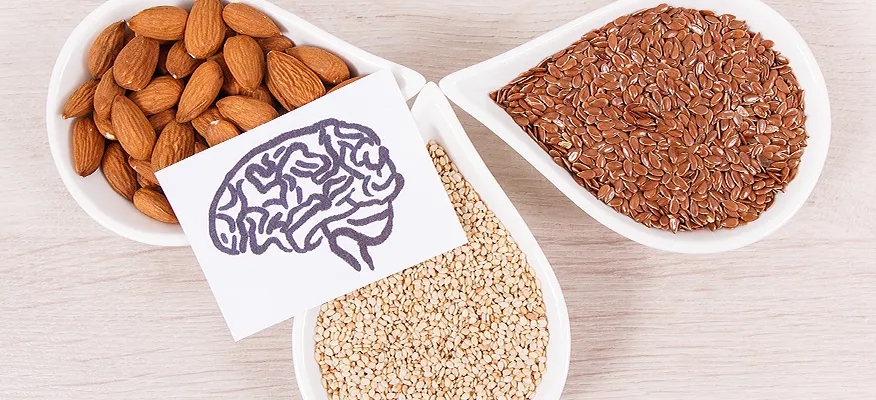 food to increase brain power