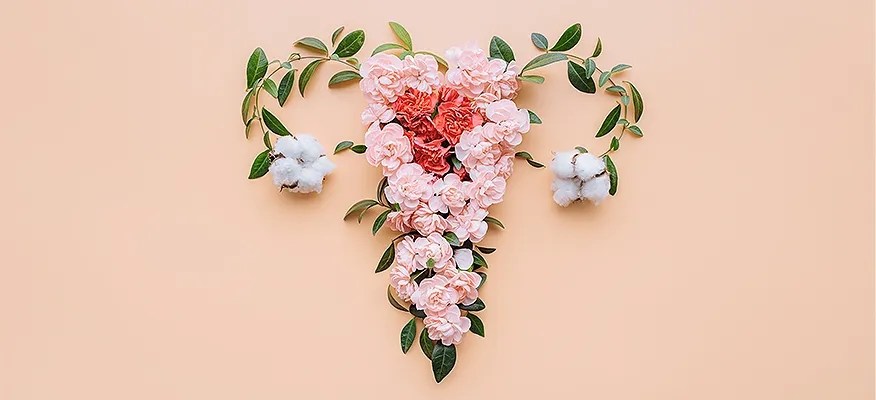 Anatomy of the Female Reproductive System