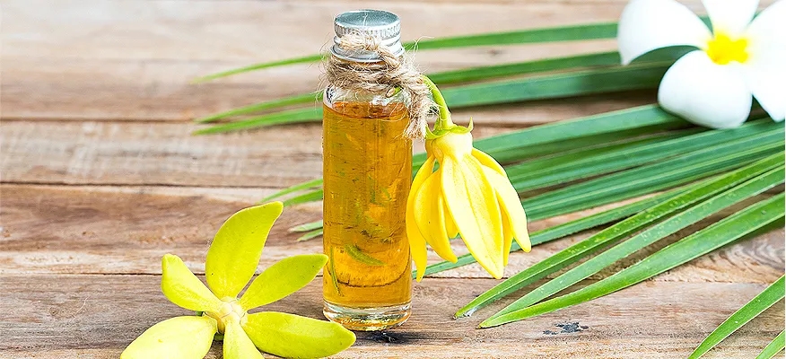 Benefits of Ylang Ylang Essential Oil