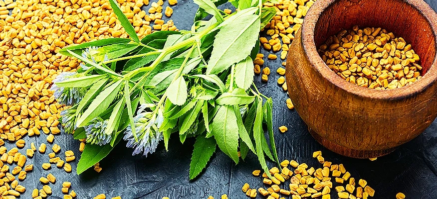 Fenugreek seeds for hair growth and health benefits