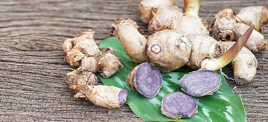 Health benefits of black ginger Kaempferia parviflora