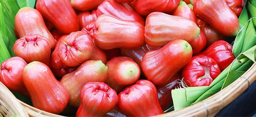 Water Apple Wonders: A Guide to Its Health Benefits